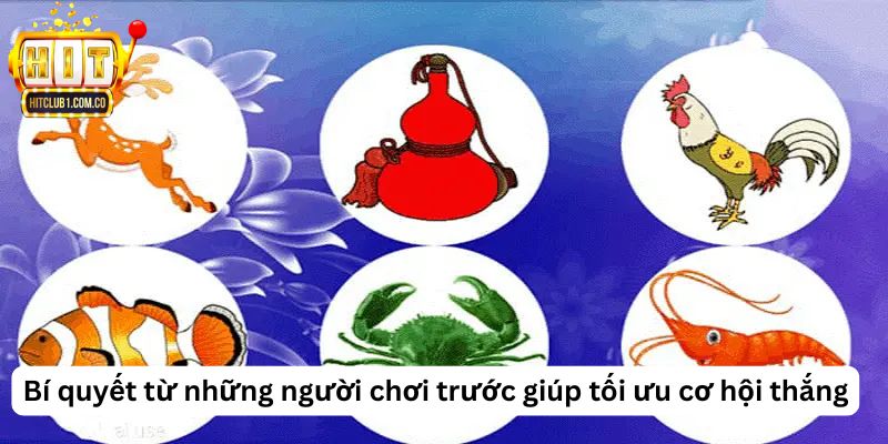 Bí quyết từ những người chơi trước giúp tối ưu cơ hội thắng