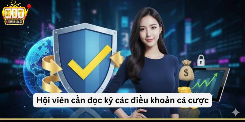 Hội viên cần đọc kỹ các điều khoản cá cược